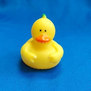 #30 Duck For Duck Duck Plushie Game